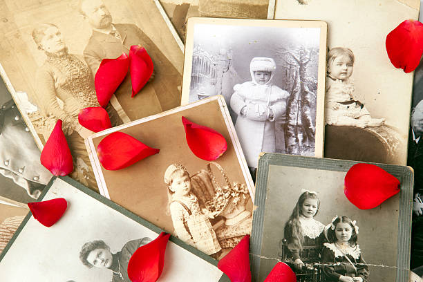 воспоминания. - family tree retro revival photograph senior adult стоковые фото и изображения