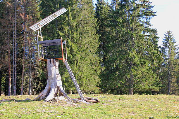 high chair close to the forest