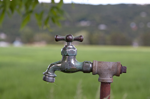 Close up water tap with backdrop of field and forested hillside. 