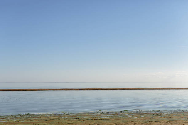 istock baltic sea coast beach in summer day 501461146
