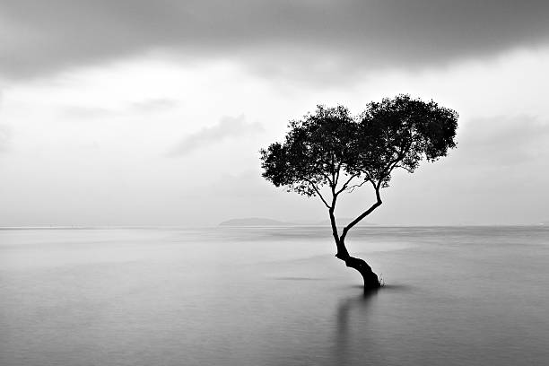 istock Tah yang Beach chumphon Thailand 501461628