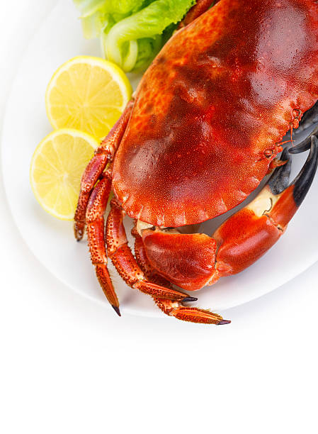 istock Red tasty boiled crab 501462232