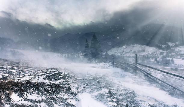 istock Beautiful winter landscape with snow covered trees 501466346