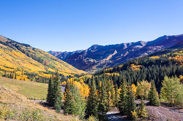 istock Southwest Colorado Mountains in Fall 501467862