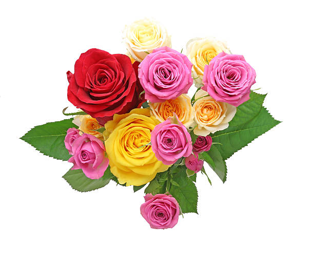 istock Bouquet of roses with leaves 501477372