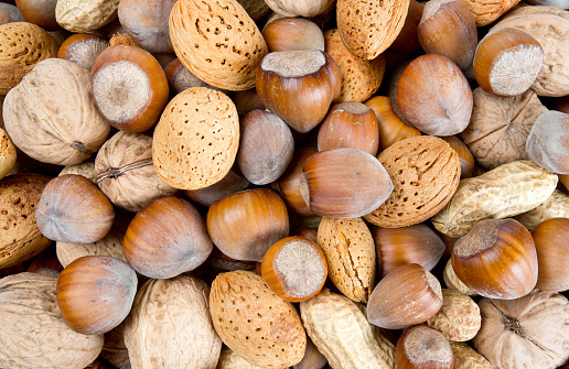 collection of shelled nuts