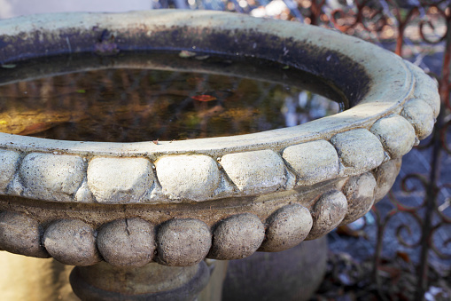 A concrete birdbath with sharpest focus on the front section below the water.