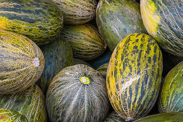 istock bunch of ripe melons 501481236