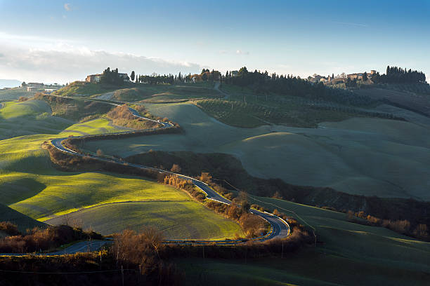 istock Tuscan Country Road,Italy 501481394
