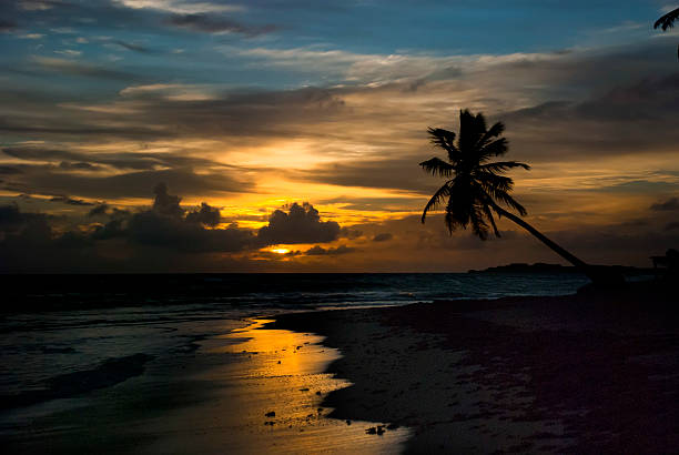 istock Golden Sunrise in Tropical Paradise 501481804