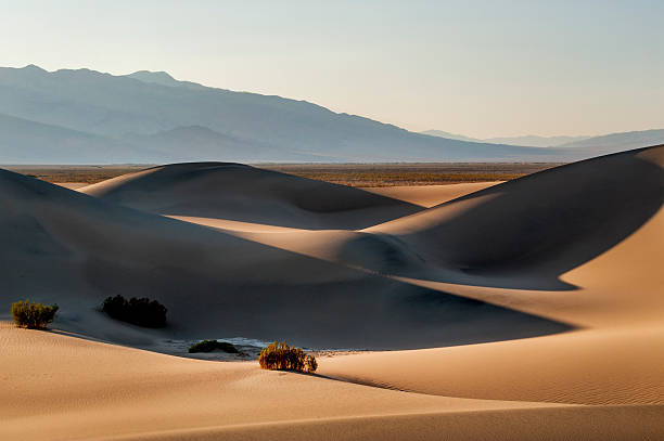 dunas de areia ao nascer do sol, parque nacional do vale da morte, califórnia - mesquite tree imagens e fotografias de stock