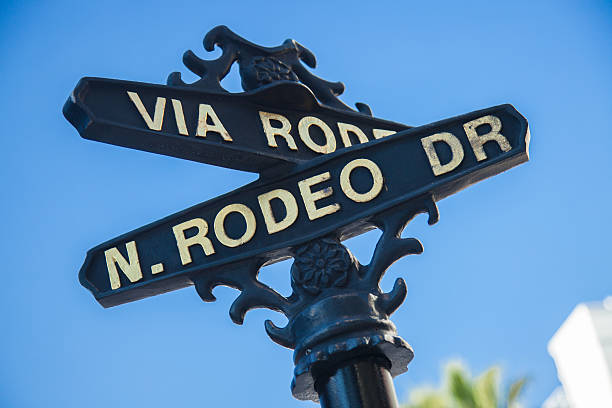 istock Rodeo Drive sign with palm trees in Beverly Hills 501484266