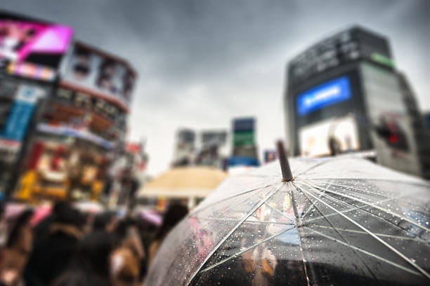 istock Commuter umbrella in Shibuya - Tokyo 501485250