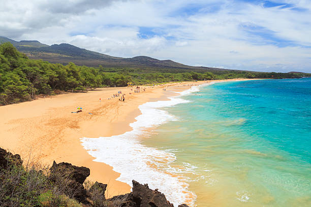 istock Big Beach, south Maui, Hawaii 501485396