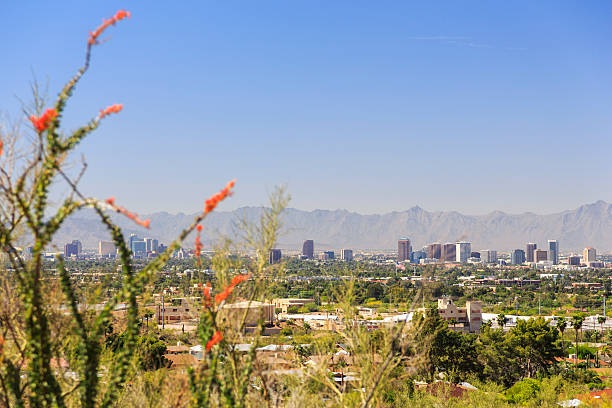 istock Downtown Phoenix and Sierra Estrella mountains 501485538