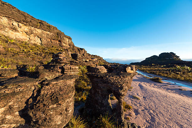Landscape at the top of Mount Roraima in the morning with blue sky. Black volcanic stones, water and endemic plants. Gran Sabana. Venezuela 2015.