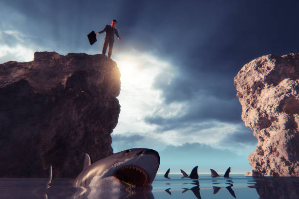 istock Businessman jumping into shark infested water 501488774
