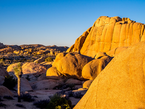 Jumbo Rocks at sunset in Joshua Tree National Park, California, USA.