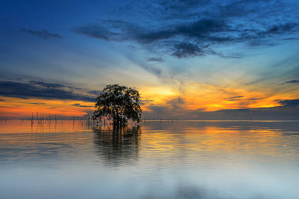 istock Sunrise at Pakpra 501489240