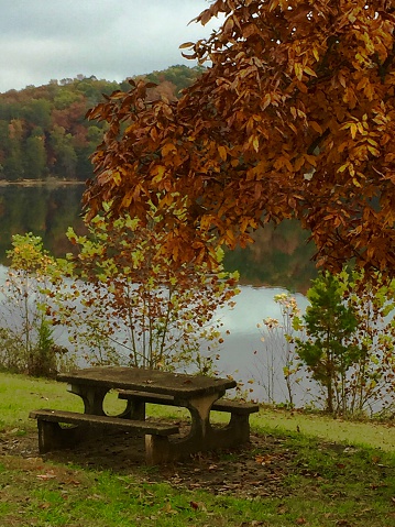 A relaxing seat in a park on the Tennessee River in Chattanooga, Tennessee