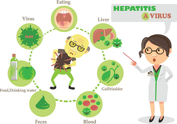 illustrazioni stock, clip art, cartoni animati e icone di tendenza di virus dell'epatite - citomegalovirus