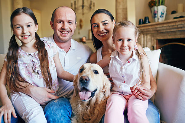 istock Family portrait 501505014