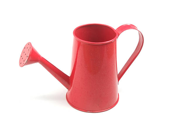 istock Red watering can isolated on white background 501505282