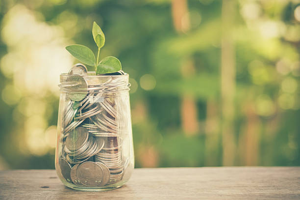 istock plant growing out of coins 501507598