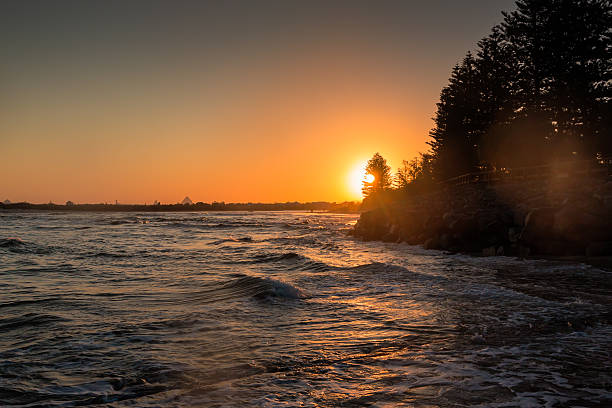 Surf At The Sunset The sun sets behind the pandana trees on a beach in Caloundra, Queensland, Australia. caloundra stock pictures, royalty-free photos & images