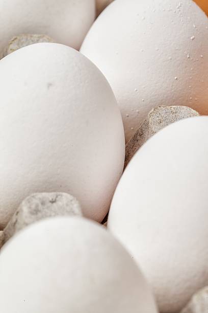 eggs in packing on a white background
