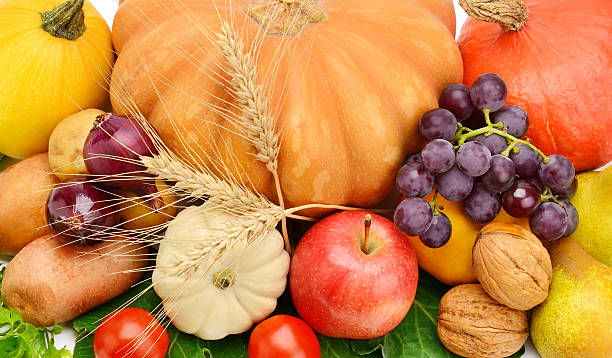 istock background of fruits and vegetables 501511300