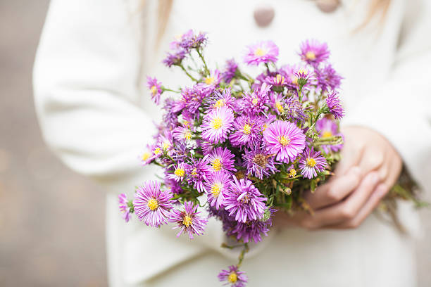 istock flowers in the hands 501511984