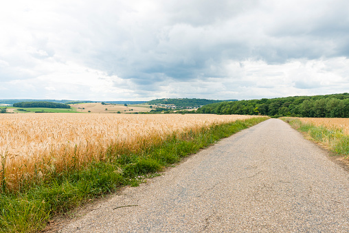 Road in the Luxemburg countryside