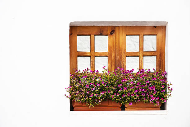 istock wood window on white wall, Alberobello, Italy 501512545