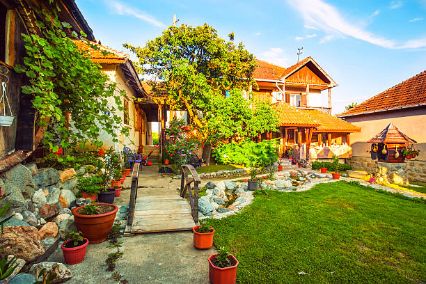istock Country house and lawn 501513861
