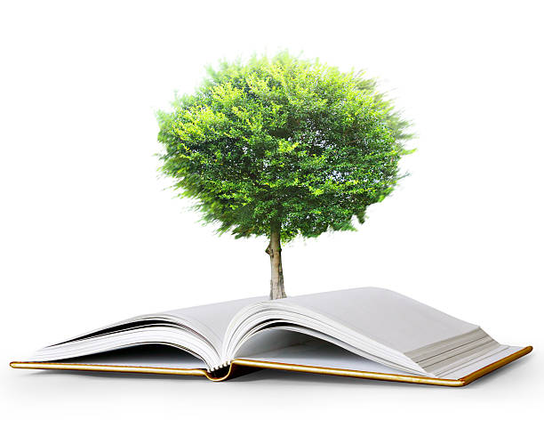 istock book of fantasy stories 501514740