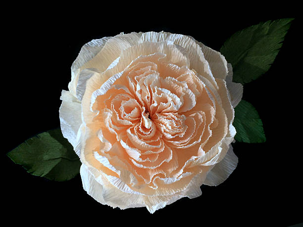 istock rose paper craft on black background 501514742