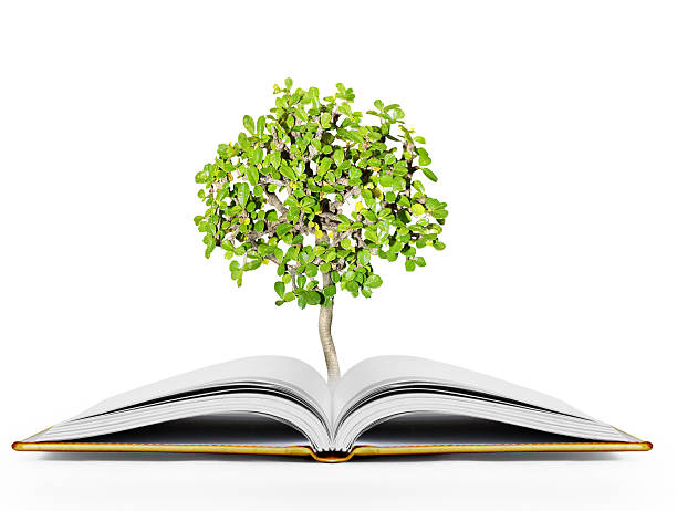 istock book of fantasy stories 501514932