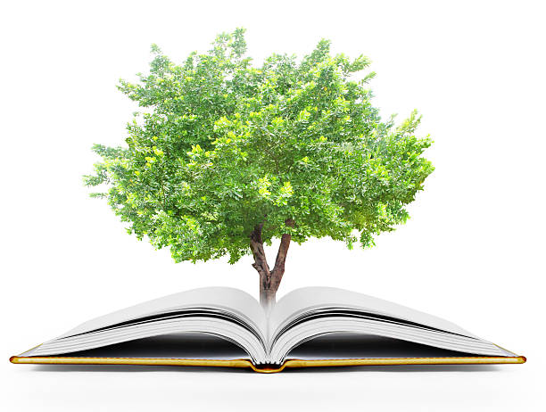 istock book of fantasy stories 501515086