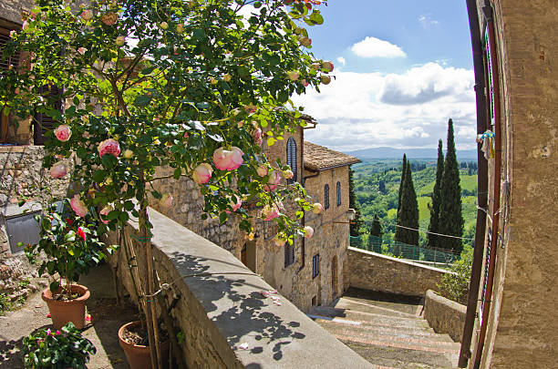 rosas na varanda, vista da cidade de san gimignano e paisagem toscana - san gimignano imagens e fotografias de stock