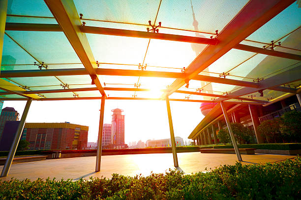istock Backlight at Shanghai modern urban architecture of streetscape 501516088