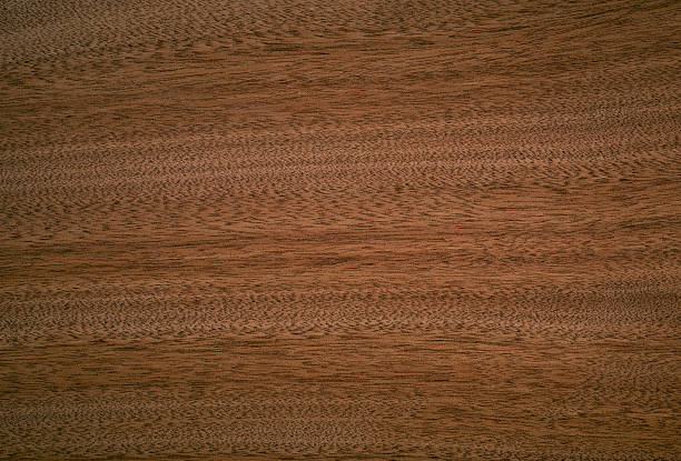 istock parawood or rubberwood veneer surface 501520536