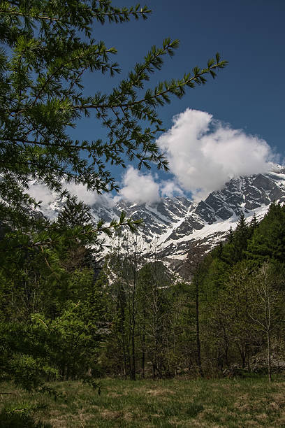 w monte rosa alpy - liskamm zdjęcia i obrazy z banku zdjęć