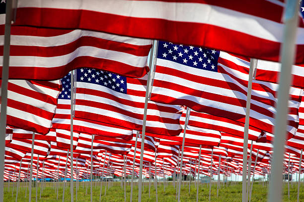 istock Rows of American Flags of Fallen Military 501533059