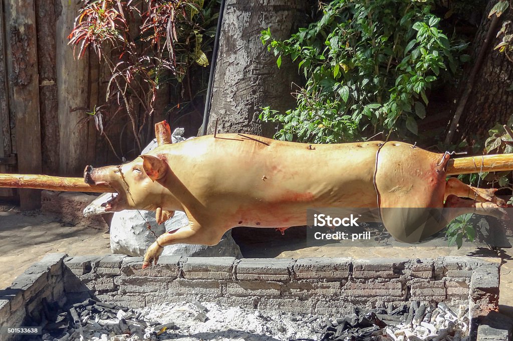 roasting suckling pig sunny outdoor scenery including a roasting suckling pig seen in Cuba 2015 Stock Photo