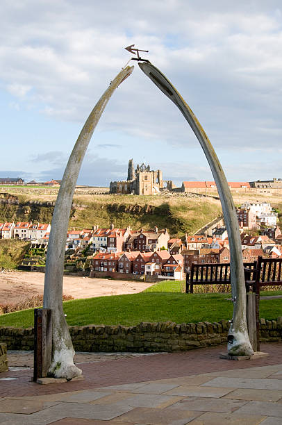 Whitby, North Yorkshire stock photo
