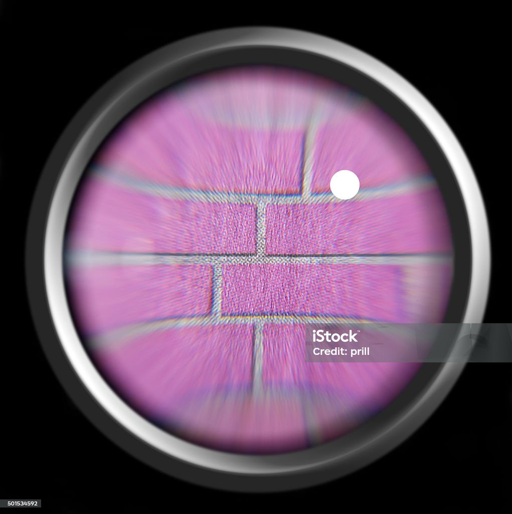 magnifier a magnifying glass and printed detail in black back 2015 Stock Photo