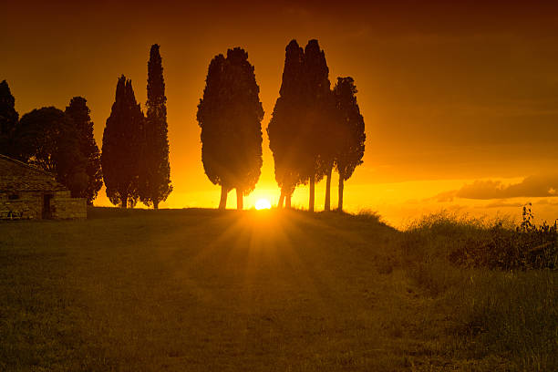 Sunset in Tuscany stock photo