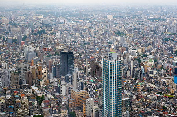 istock Tokyo Skyline in Japan 501535925