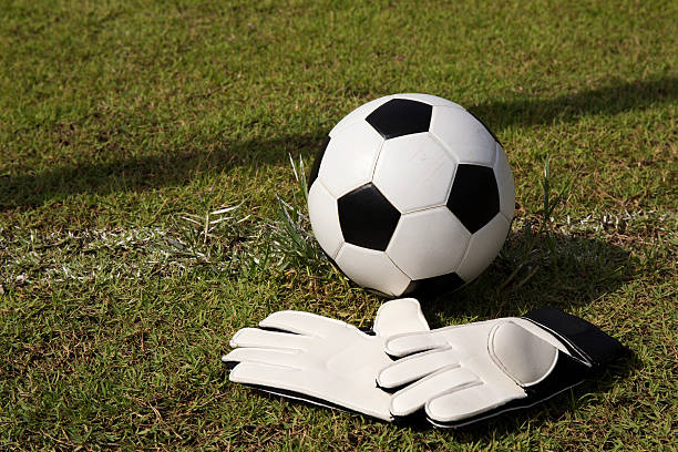 istock Gloves and soccer ball 501536037